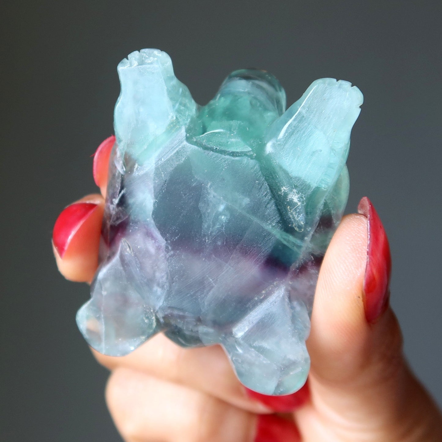 Fluorite Turtle Walk of Rainbow Animal Guardian