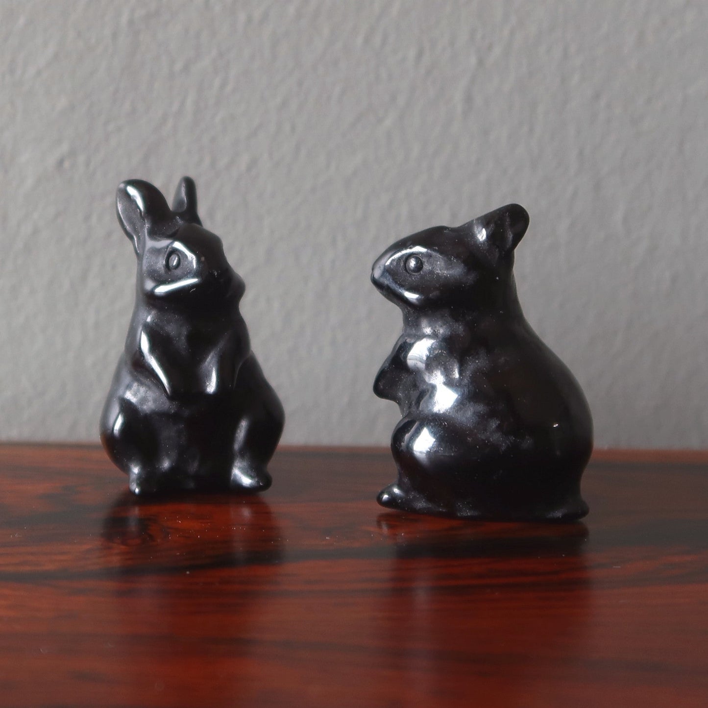 Black Obsidian Rabbit Adorable Protector Bunny