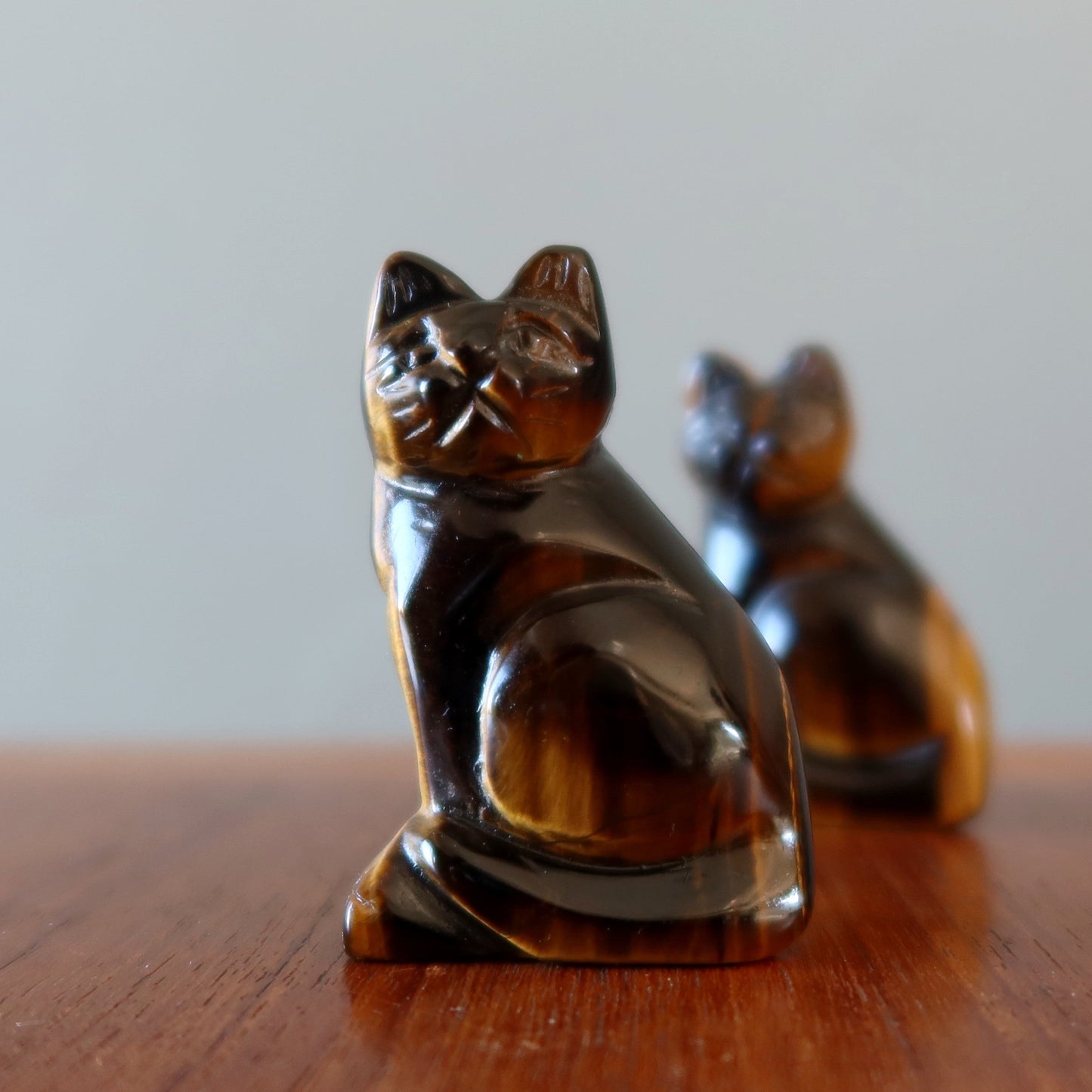 Tigers Eye Cat Supreme Spiritual Guardian Animal