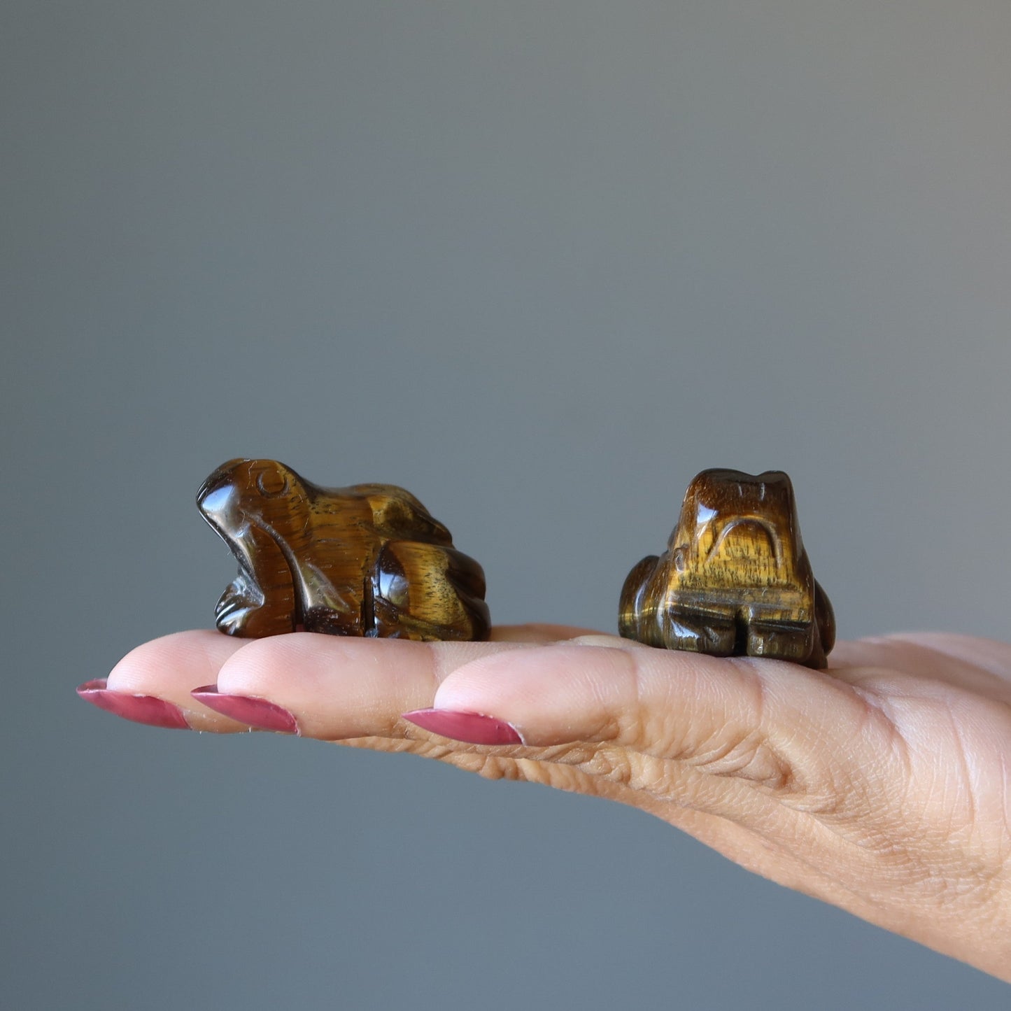 Tigers Eye Frog Bounce to Brilliance Animal Figurine