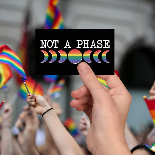 Pride Kiss-Cut Stickers | LGBTQ+ Affirmation Decor, Laptop Decal, Not a Phase, Colorful Vinyl Art, Pride Gifts, Self-Expression Stickers