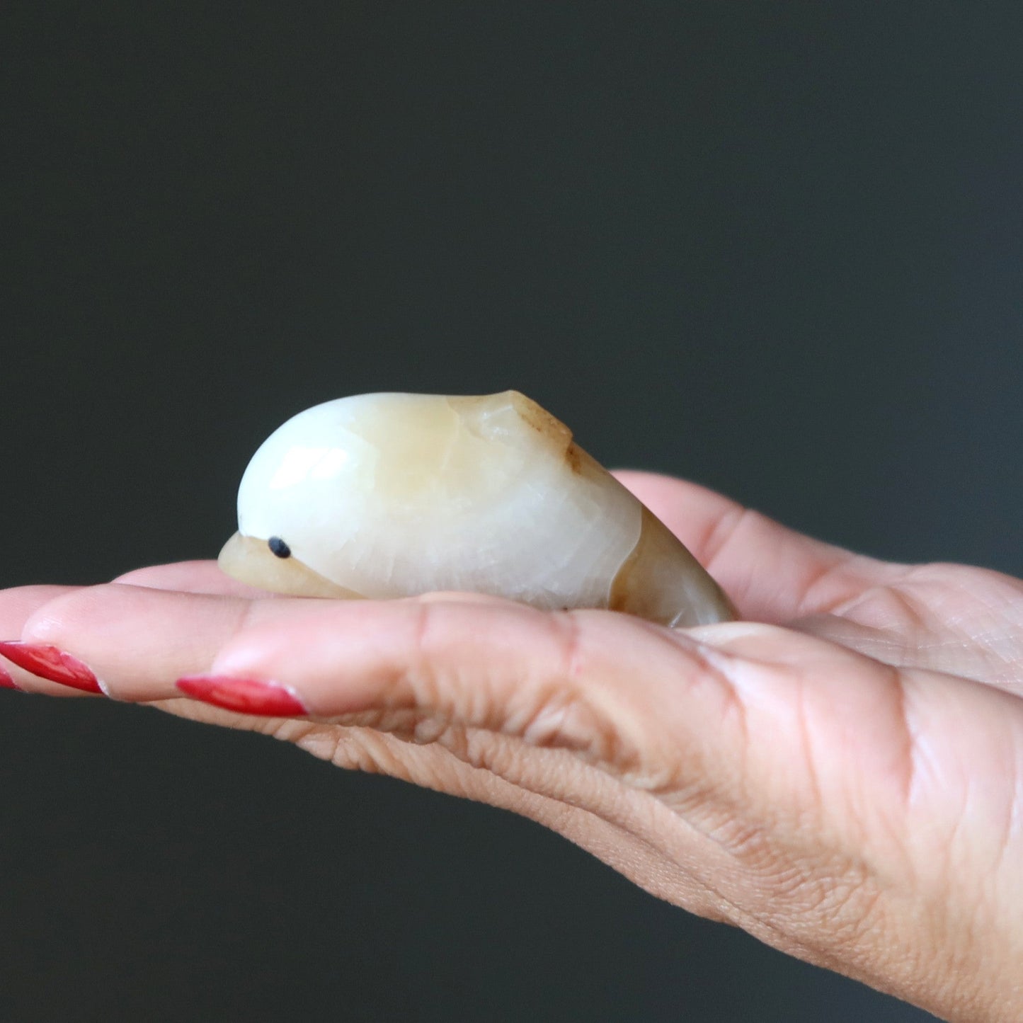 Yellow Calcite Dolphin Wounded Warrior