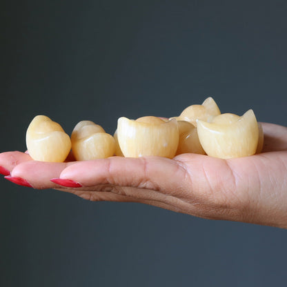 Yellow Calcite Money Bowl Ingot Set Wealth Feng Shui