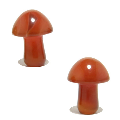 Carnelian Mushroom Forage Red Orange Crystal