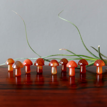 Carnelian Mushroom Forage Red Orange Crystal