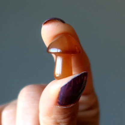 Carnelian Mushroom Forage Red Orange Crystal