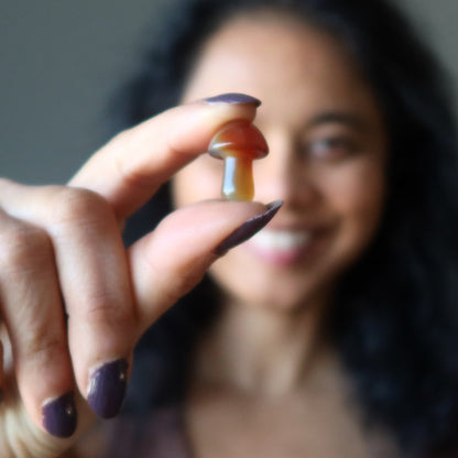 Carnelian Mushroom Forage Red Orange Crystal