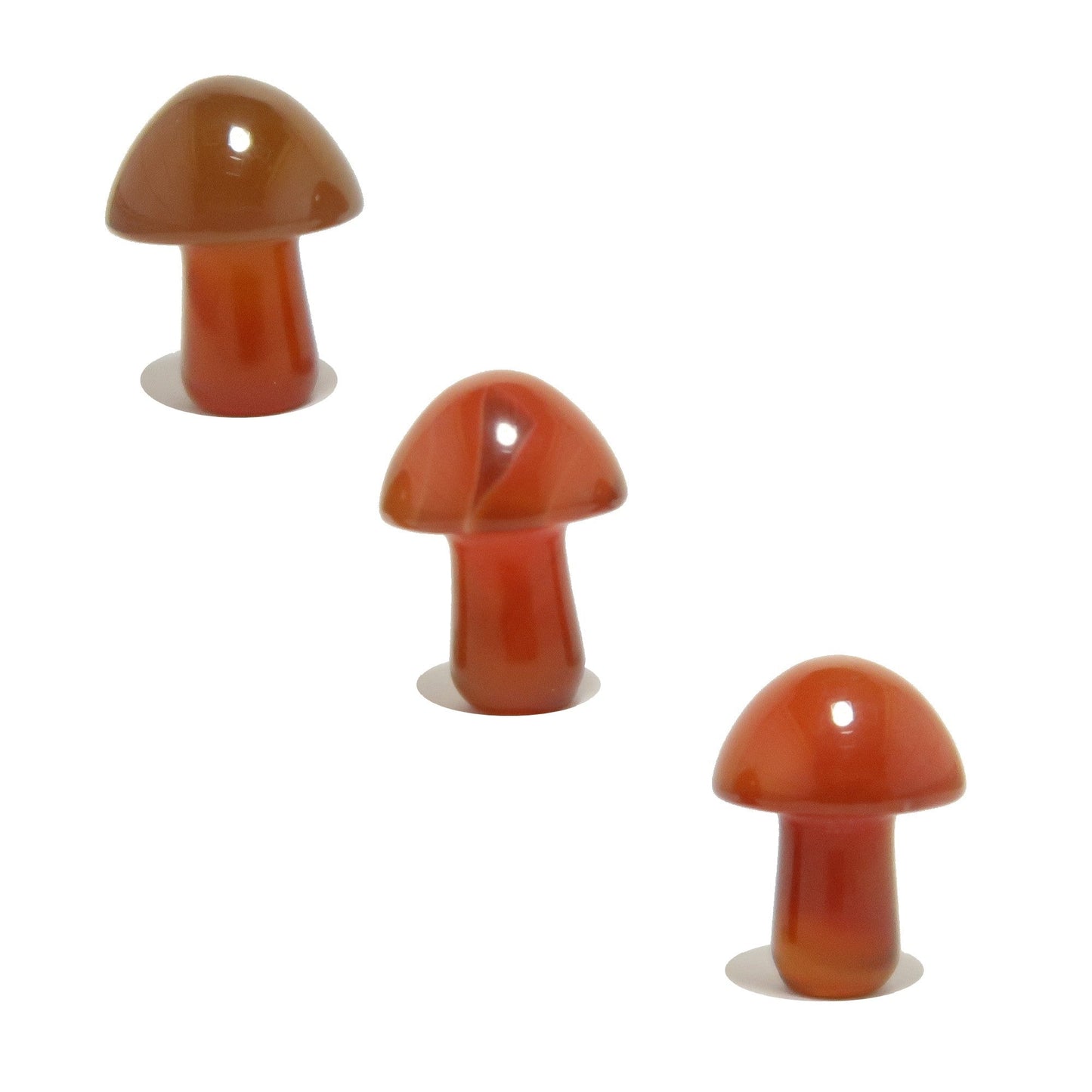 Carnelian Mushroom Forage Red Orange Crystal