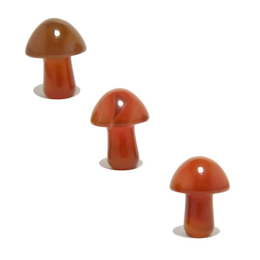 Carnelian Mushroom Forage Red Orange Crystal