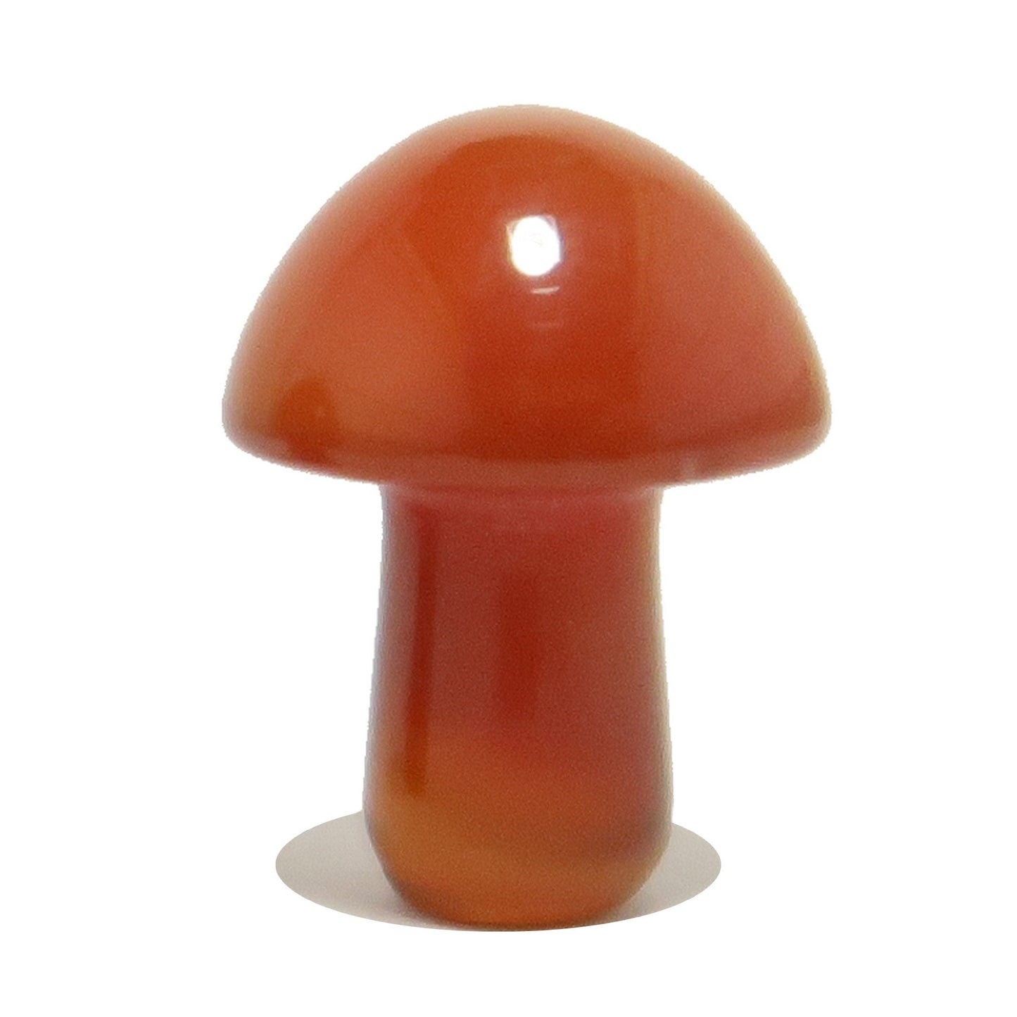 Carnelian Mushroom Forage Red Orange Crystal