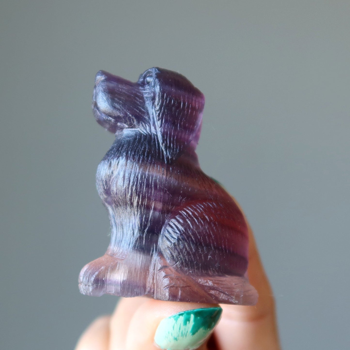 Fluorite Dog Lovely Loyal Puppy Crystal Statue
