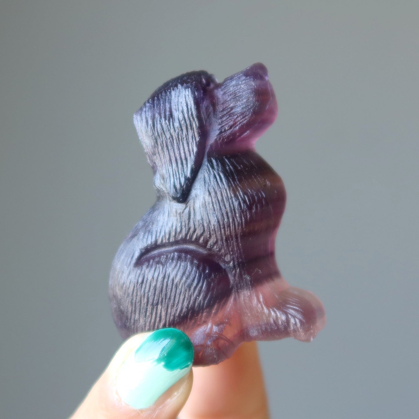 Fluorite Dog Lovely Loyal Puppy Crystal Statue