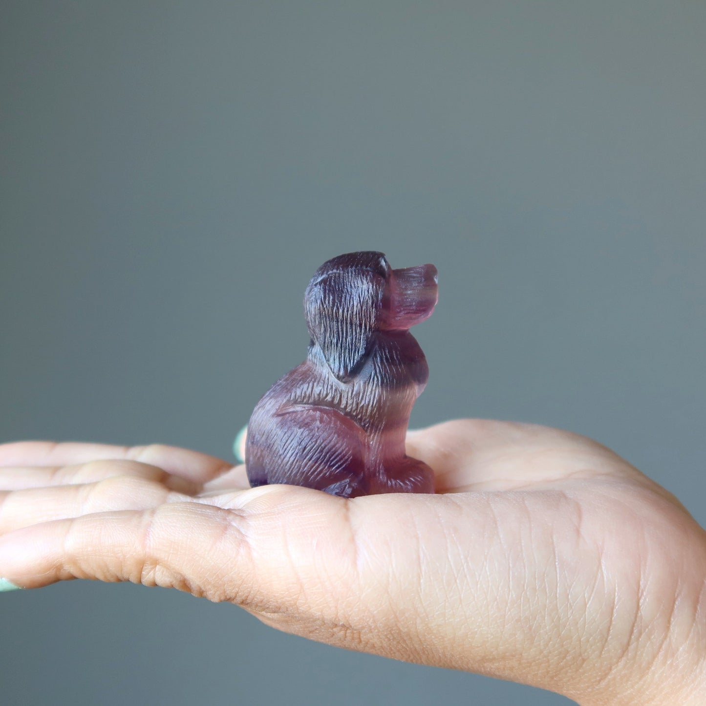 Fluorite Dog Lovely Loyal Puppy Crystal Statue
