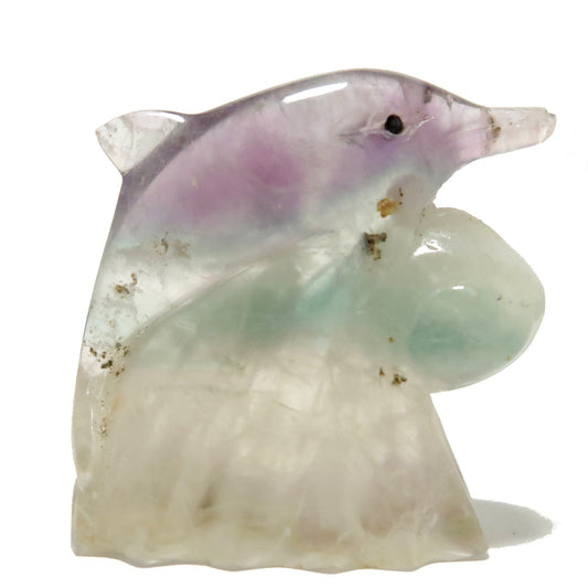 Fluorite Dolphin Make Waves Ocean Explorer Stone