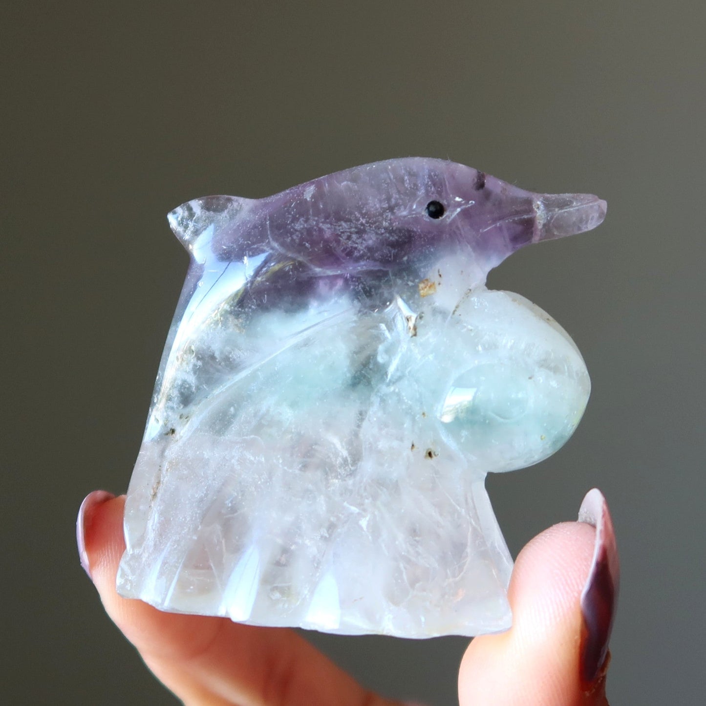 Fluorite Dolphin Make Waves Ocean Explorer Stone
