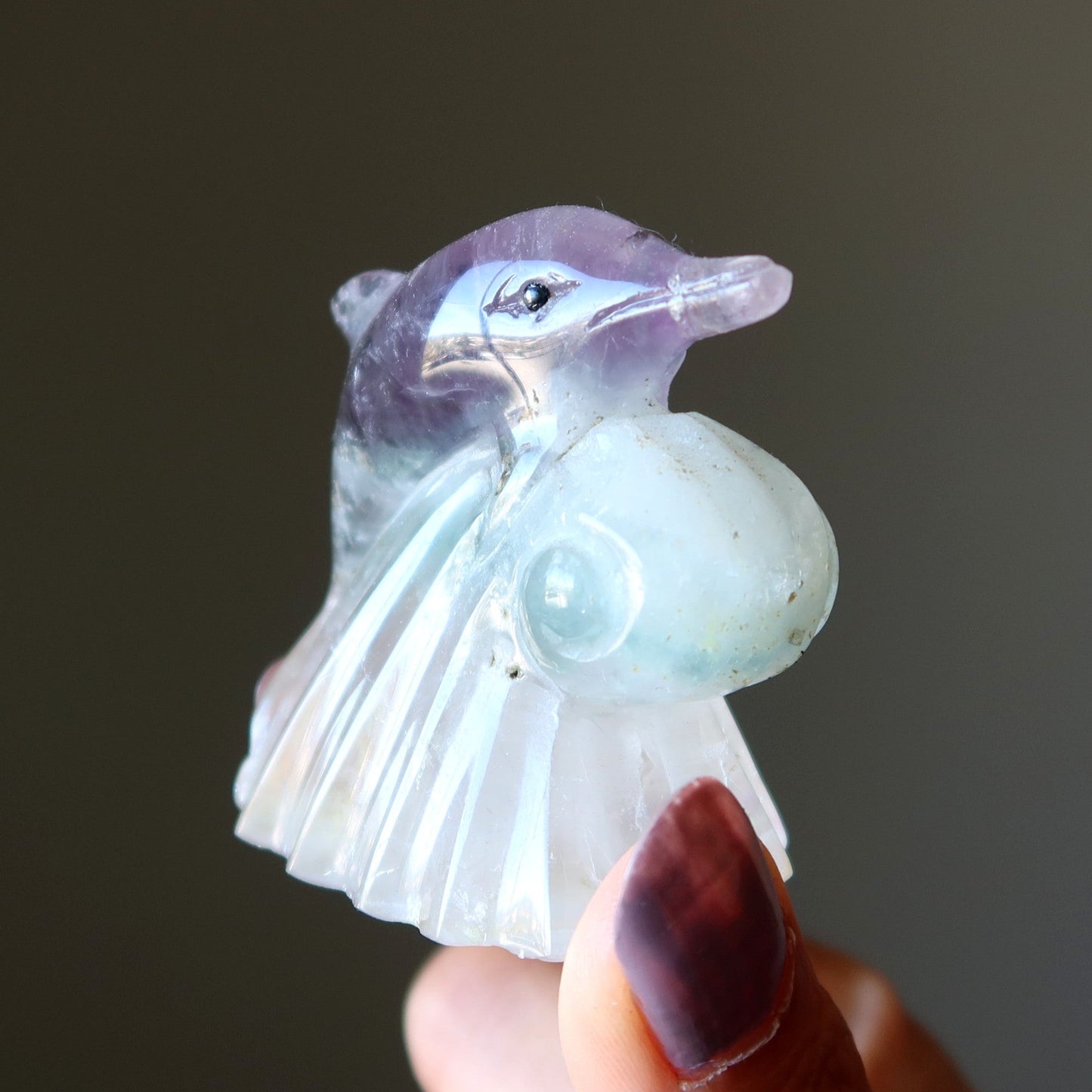 Fluorite Dolphin Make Waves Ocean Explorer Stone