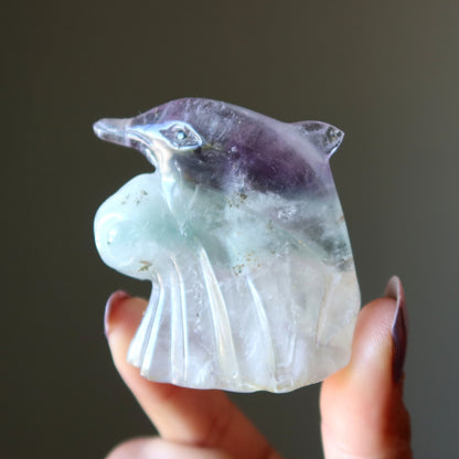 Fluorite Dolphin Make Waves Ocean Explorer Stone