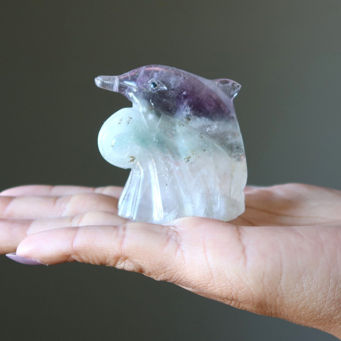 Fluorite Dolphin Make Waves Ocean Explorer Stone