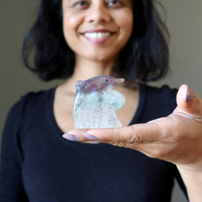 Fluorite Dolphin Make Waves Ocean Explorer Stone