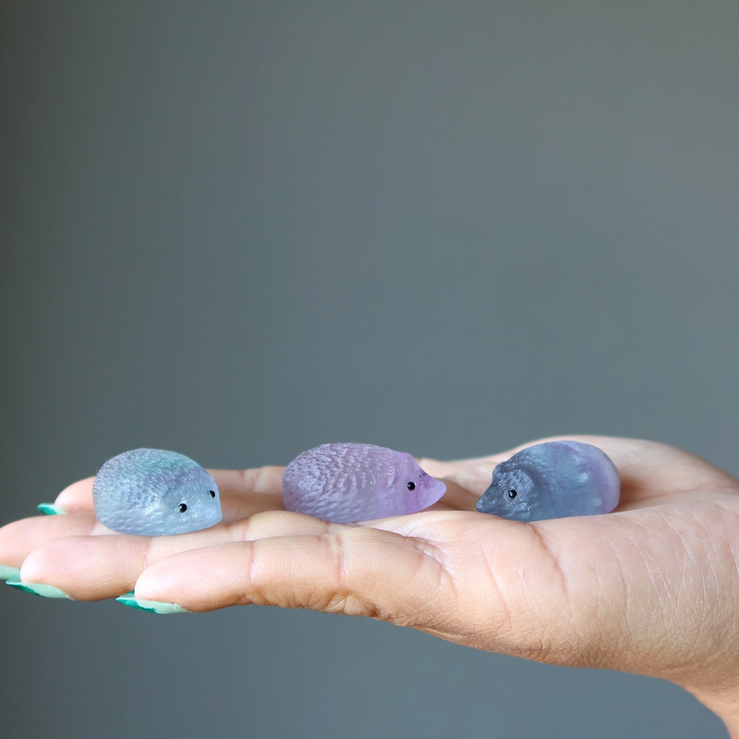 Fluorite Hedgehog My Best Friend Rainbow Figurine