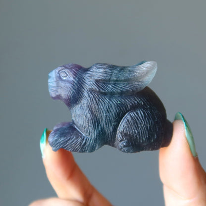 Fluorite Rabbit Hop to Healing Crystal Purple Bunny
