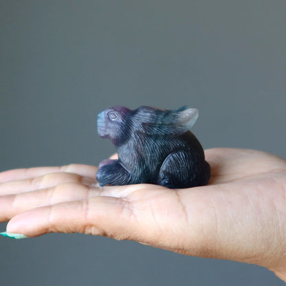 Fluorite Rabbit Hop to Healing Crystal Purple Bunny