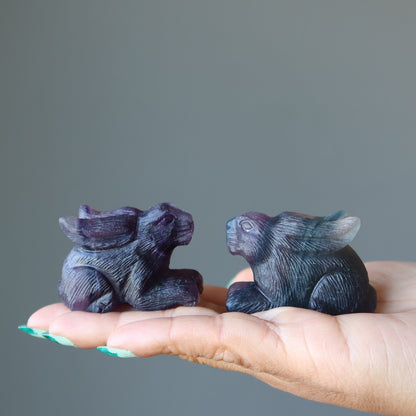 Fluorite Rabbit Hop to Healing Crystal Purple Bunny