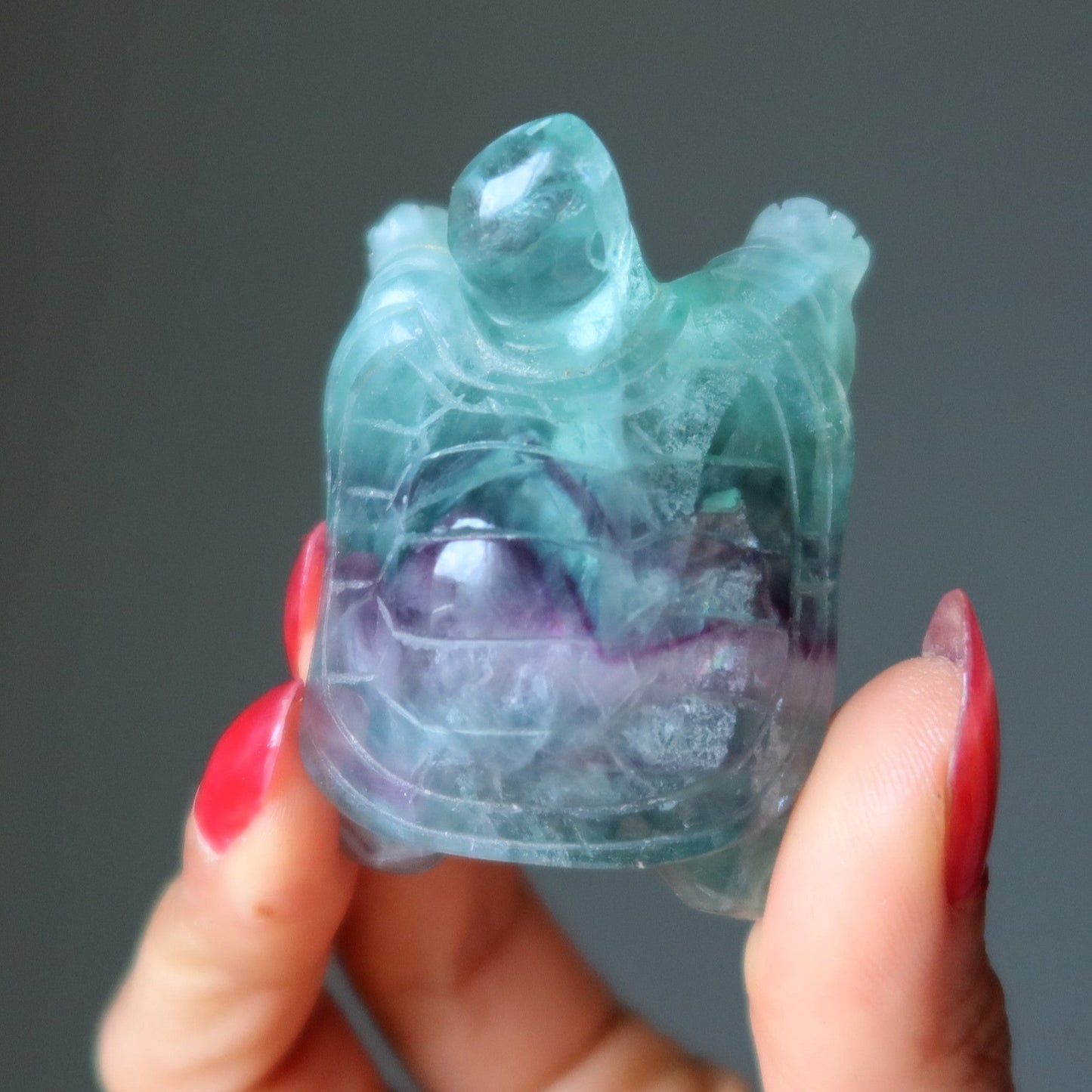 Fluorite Turtle Walk of Rainbow Animal Guardian