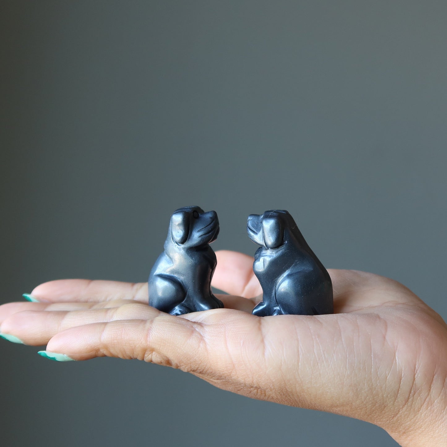 Hematite Dog Silver Puppy Happy Protector Crystal