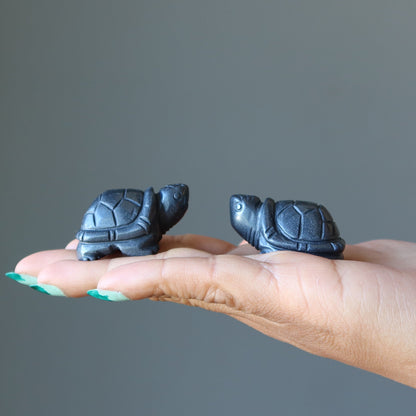 Hematite Turtle Forever Faithful Protection Animal