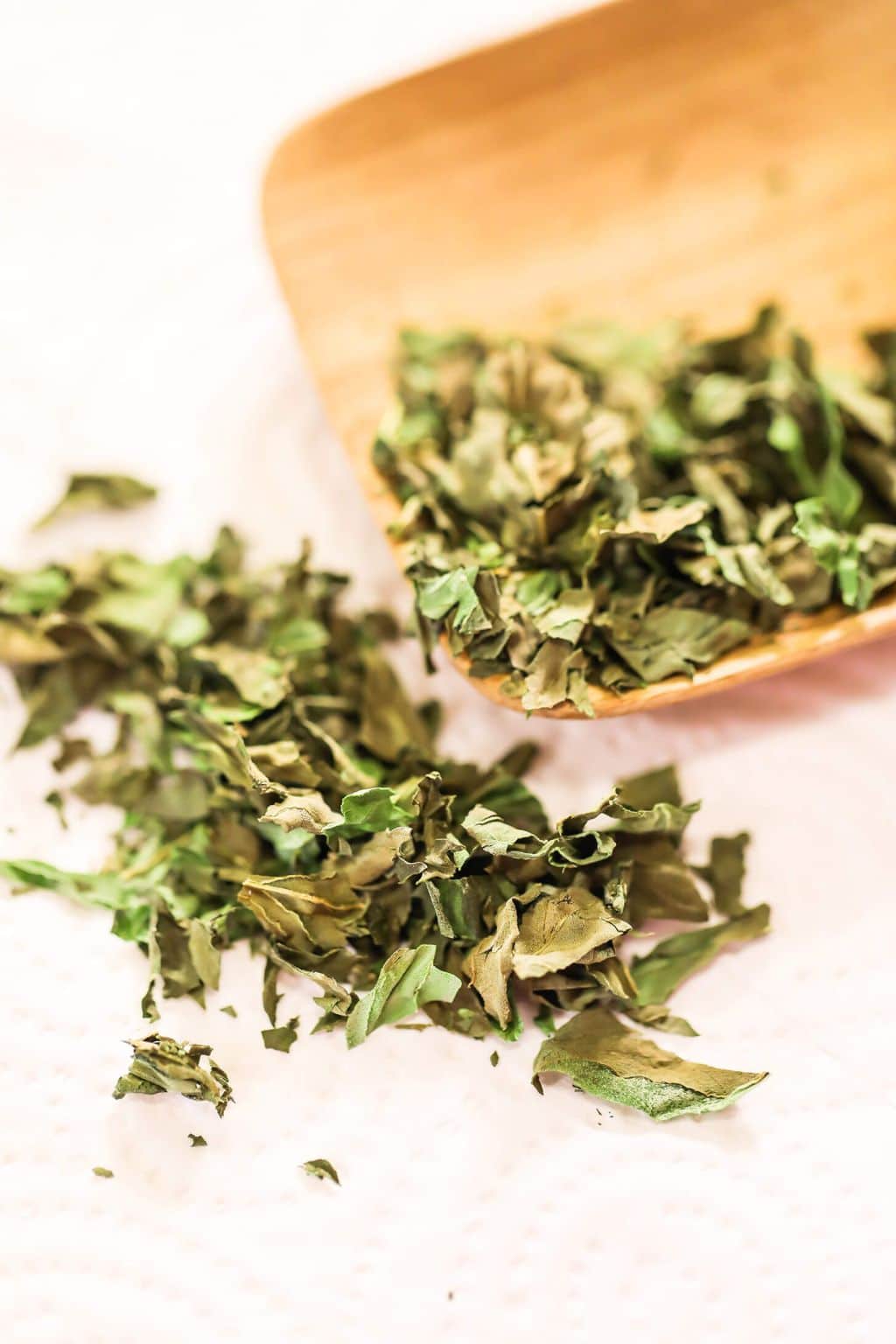 Spices & Herbs – For Ritual and Spell Work