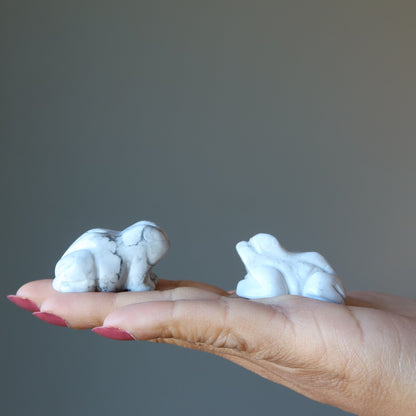 Howlite Frog White Crystal Cloud Jumper Figurine