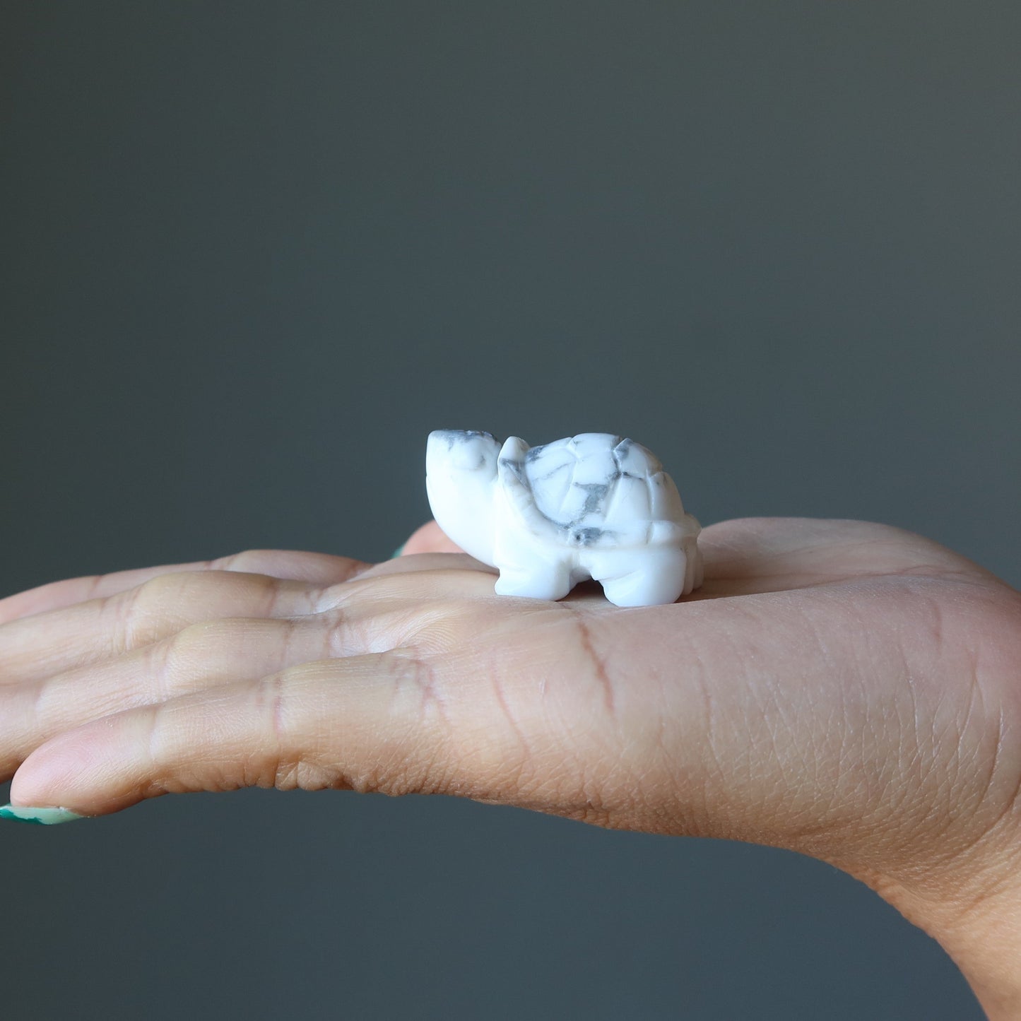 Howlite Turtle Spiritual White Animal Figurine