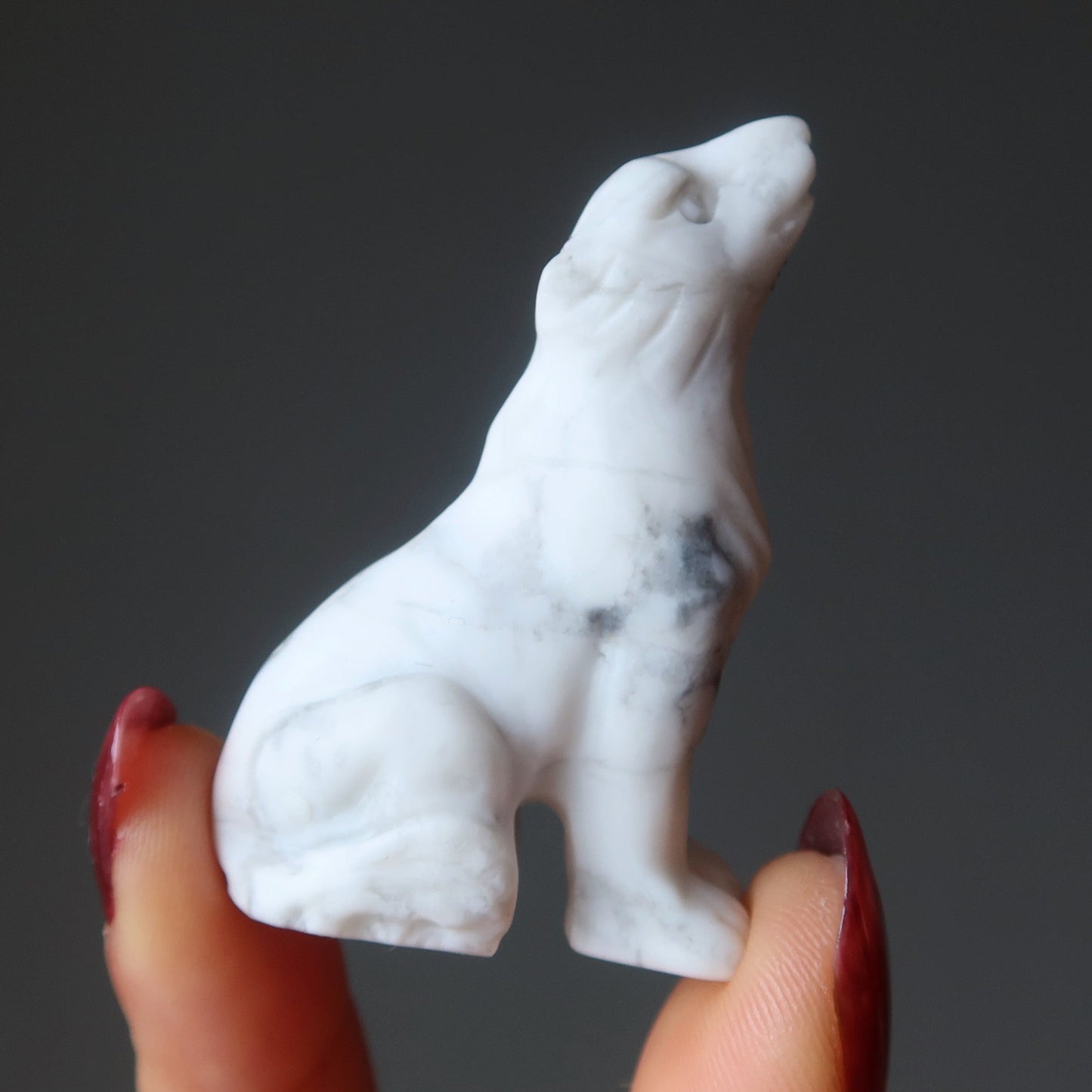 Howlite Wolf Howling Full Moon White Animal