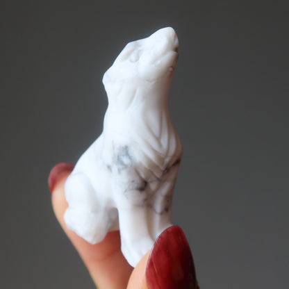 Howlite Wolf Howling Full Moon White Animal