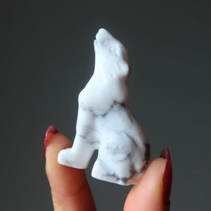 Howlite Wolf Howling Full Moon White Animal