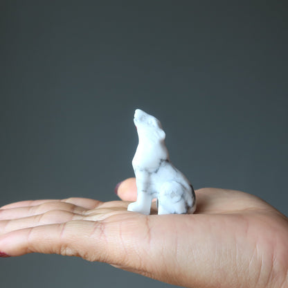 Howlite Wolf Howling Full Moon White Animal