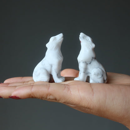 Howlite Wolf Howling Full Moon White Animal