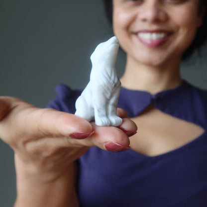 Howlite Wolf Howling Full Moon White Animal