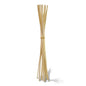 Specialty Rattan Reeds – 10" Diffuser Sticks in Multiple Colors