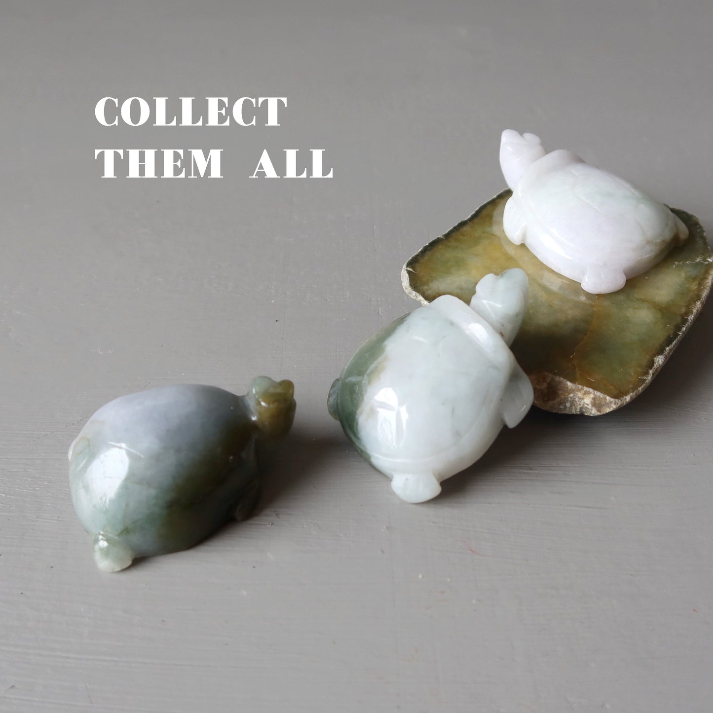 Jade Turtle Burmese Green Jadeite Peaceful Life