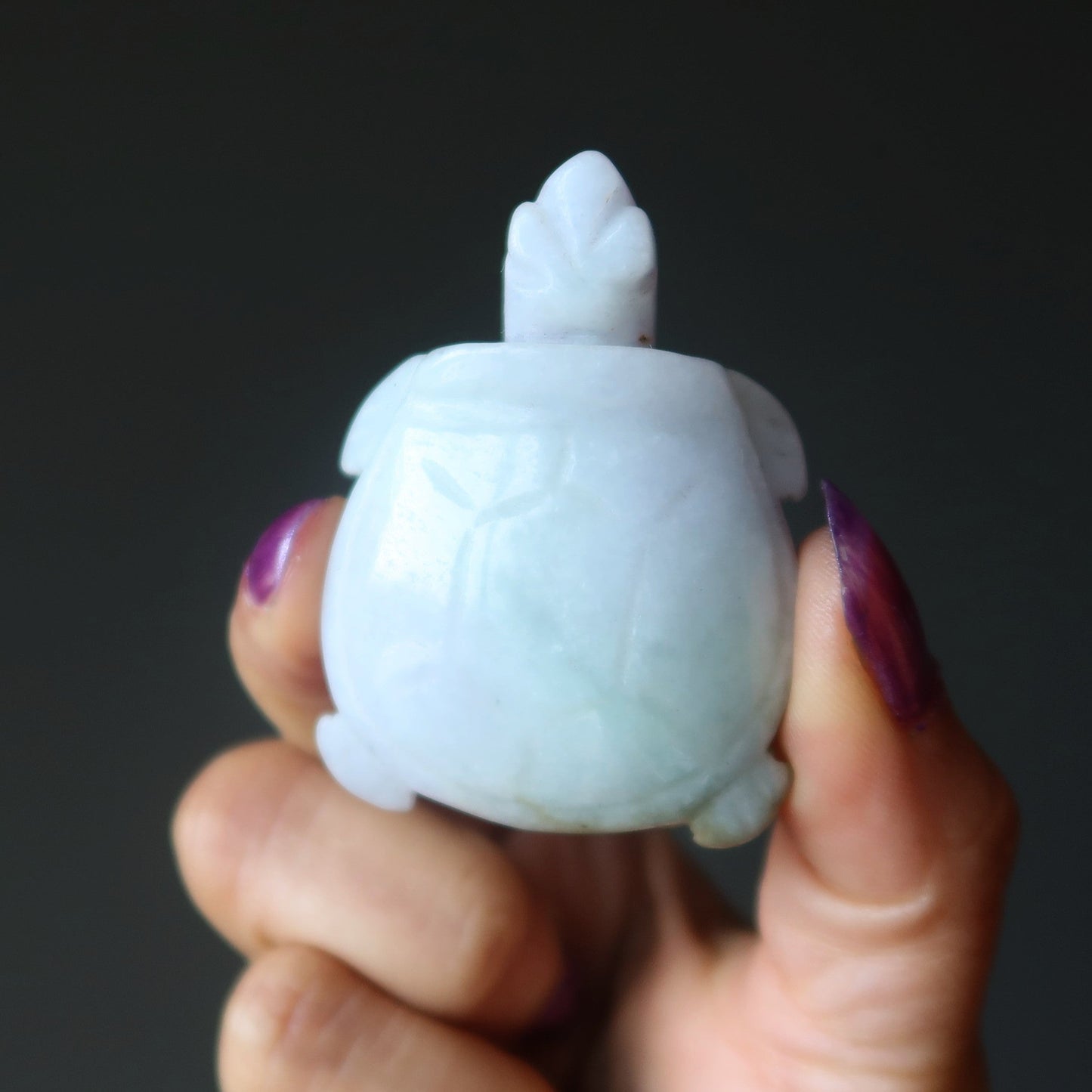 Jade Turtle Burmese Green Jadeite Peaceful Life