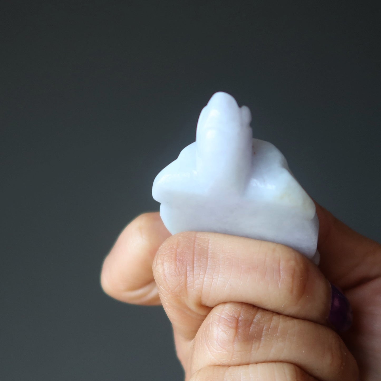 Jade Turtle Burmese Green Jadeite Peaceful Life