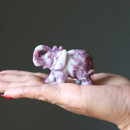 Lepidolite Elephant Purple Crystal My Luck is Looking Up
