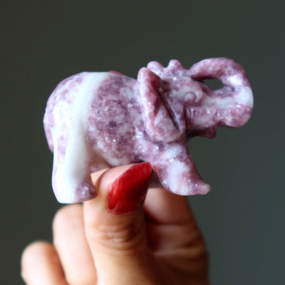 Lepidolite Elephant Purple Crystal My Luck is Looking Up