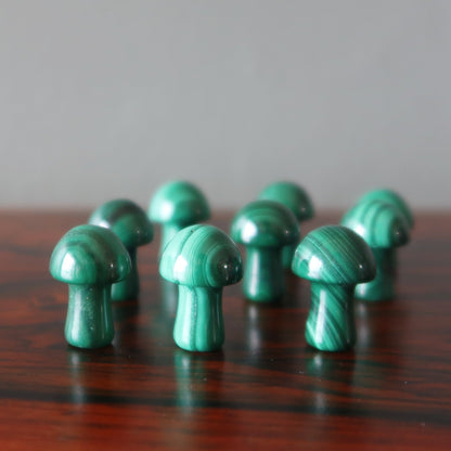 Malachite Mushroom Magic Rich Green Forest Crystal