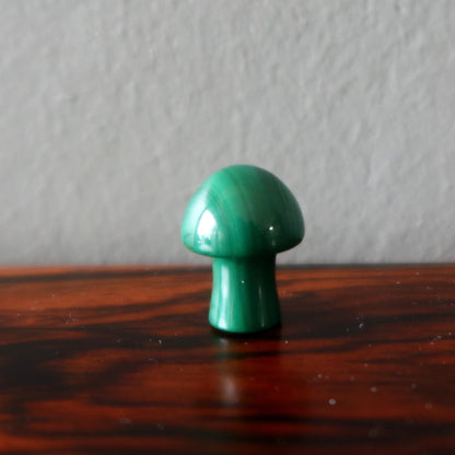 Malachite Mushroom Magic Rich Green Forest Crystal
