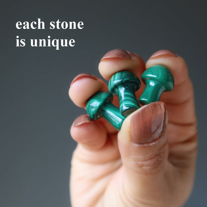 Malachite Mushroom Magic Rich Green Forest Crystal