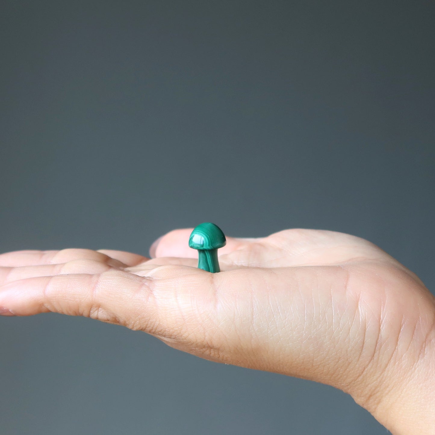 Malachite Mushroom Magic Rich Green Forest Crystal