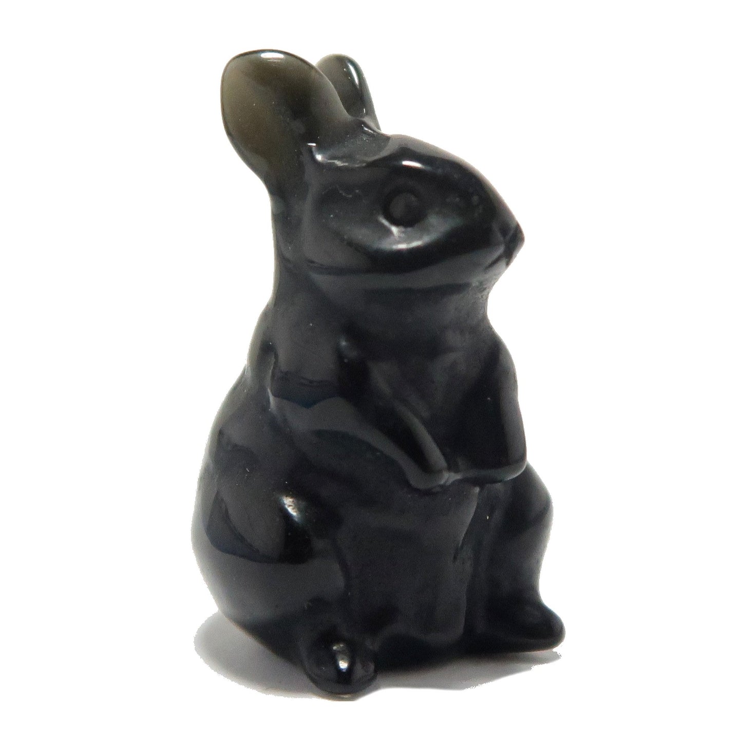 Black Obsidian Rabbit Adorable Protector Bunny
